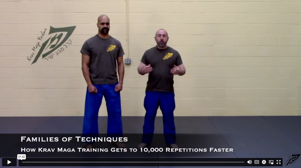 Grouping Krav Maga Techniques Into Families